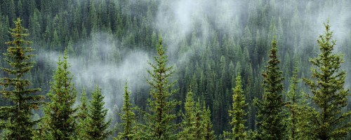 Delta 1st One Cloud POS